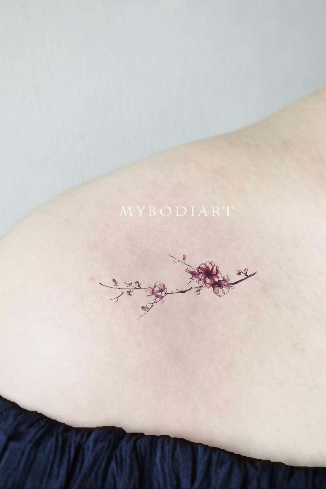 Stunning Cherry Blossom Tattoo on Stomach
